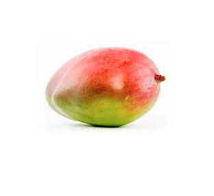 Mangue bio origine Espagne