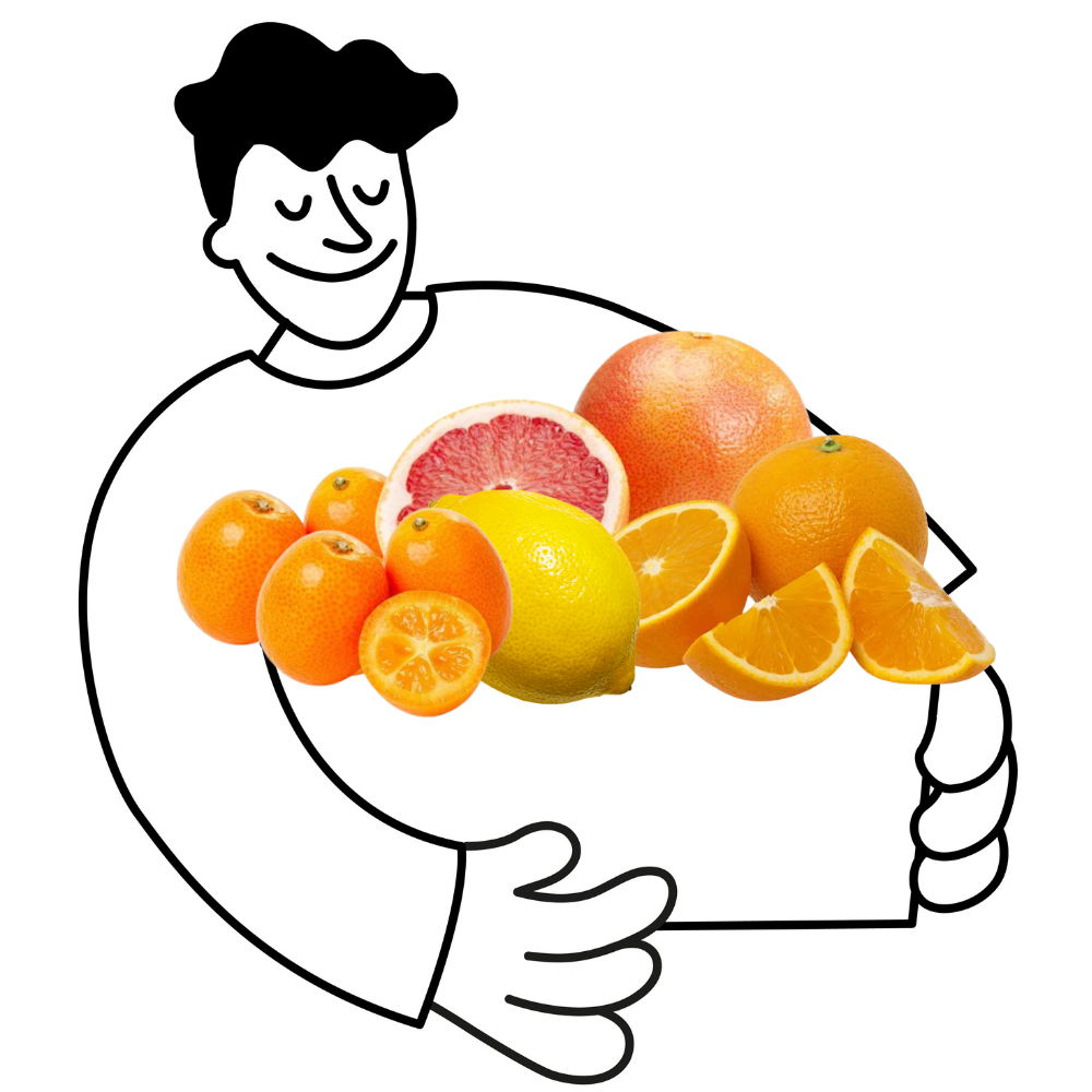 Panier agrumes bio