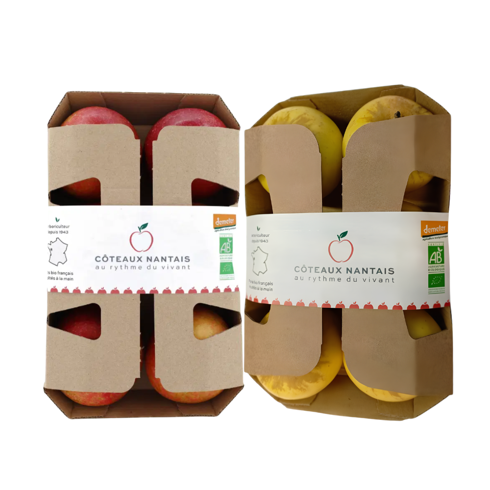 Panier barquettes de pommes bicolores et jaunes bio