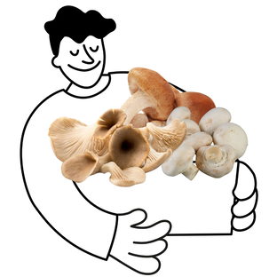 Panier champignons bio