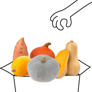 Panier courges bio