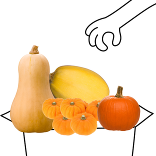 Panier Courges Bio