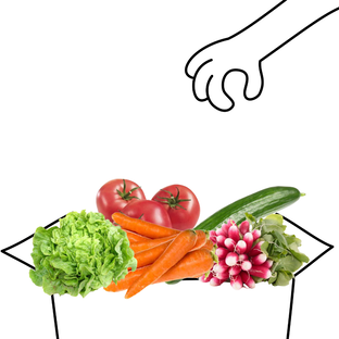 Panier crudités d'été bio