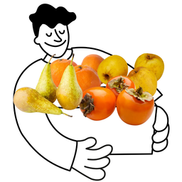 Panier fruits d'automne de saison bio