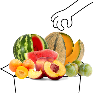 Panier Fruits d'Été de Saison Bio