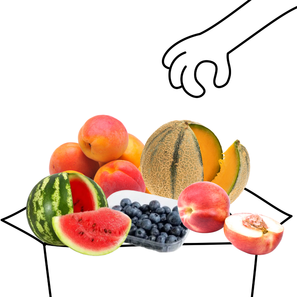 Panier Fruits d'Été de Saison Bio