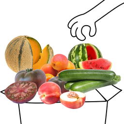 Panier Fruits et Légumes d'Été Saison Bio