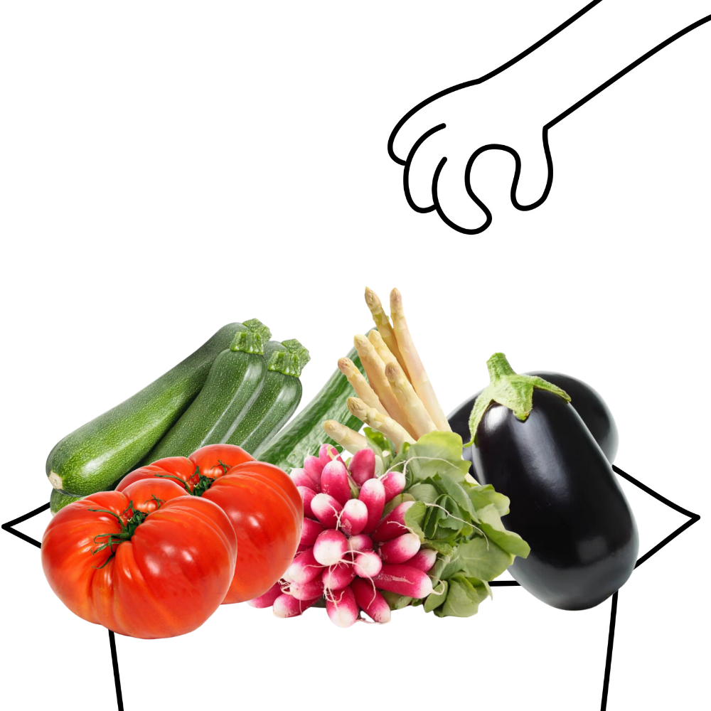 Panier légumes du printemps bio