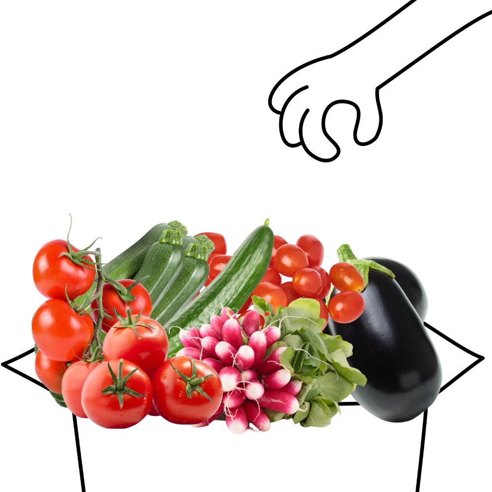 Panier légumes du printemps bio