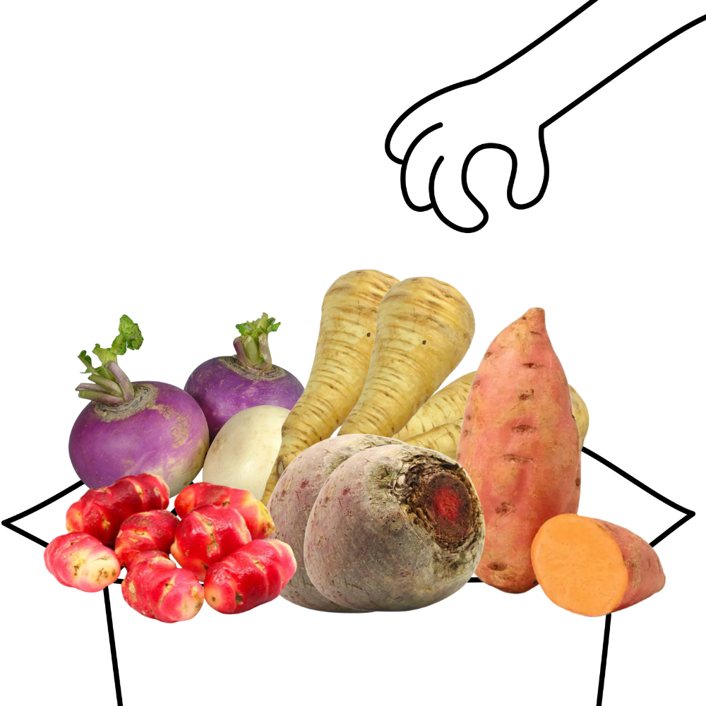 Panier légumes racines bio