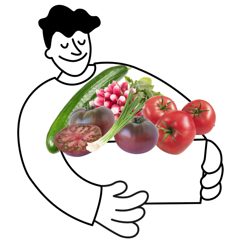 Panier salade d'été bio