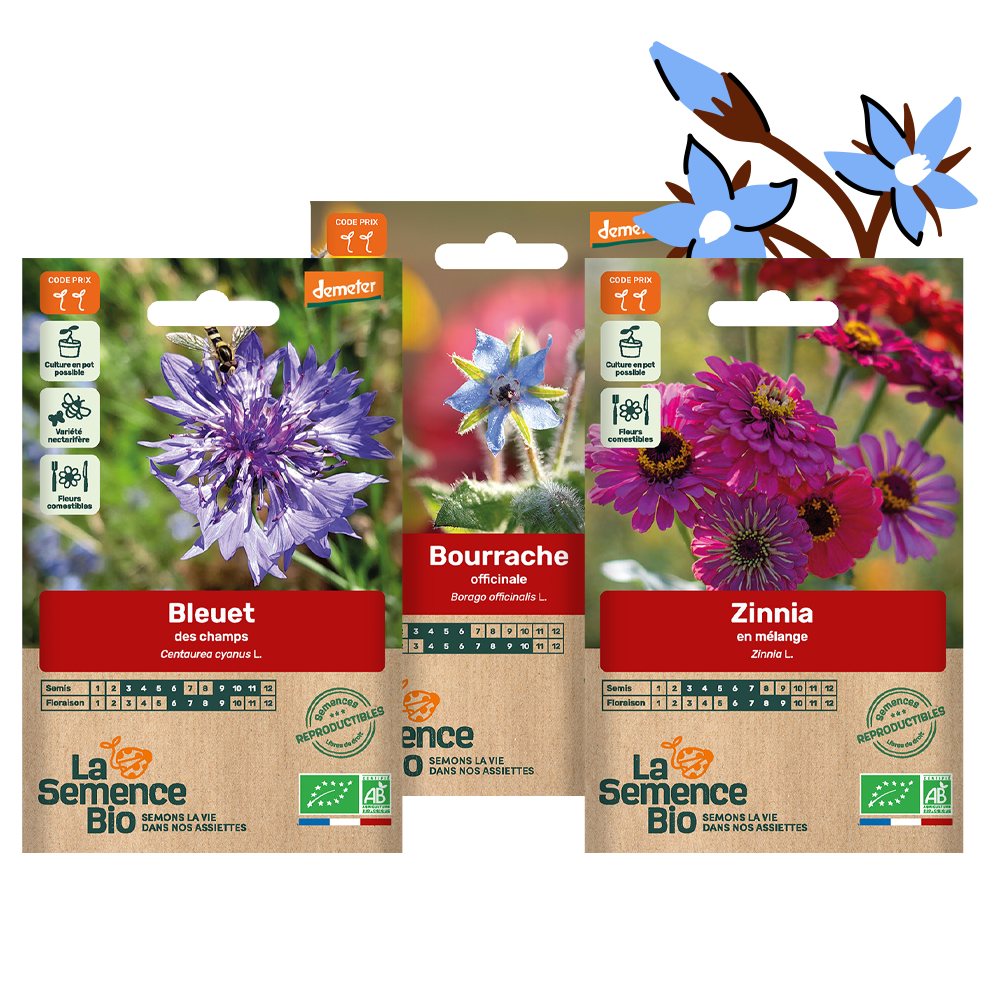 Panier semis bio - fleurir le jardin x 3