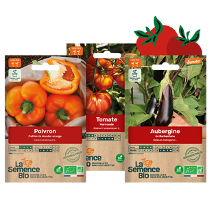 Panier semis bio - légumes d'été x 3
