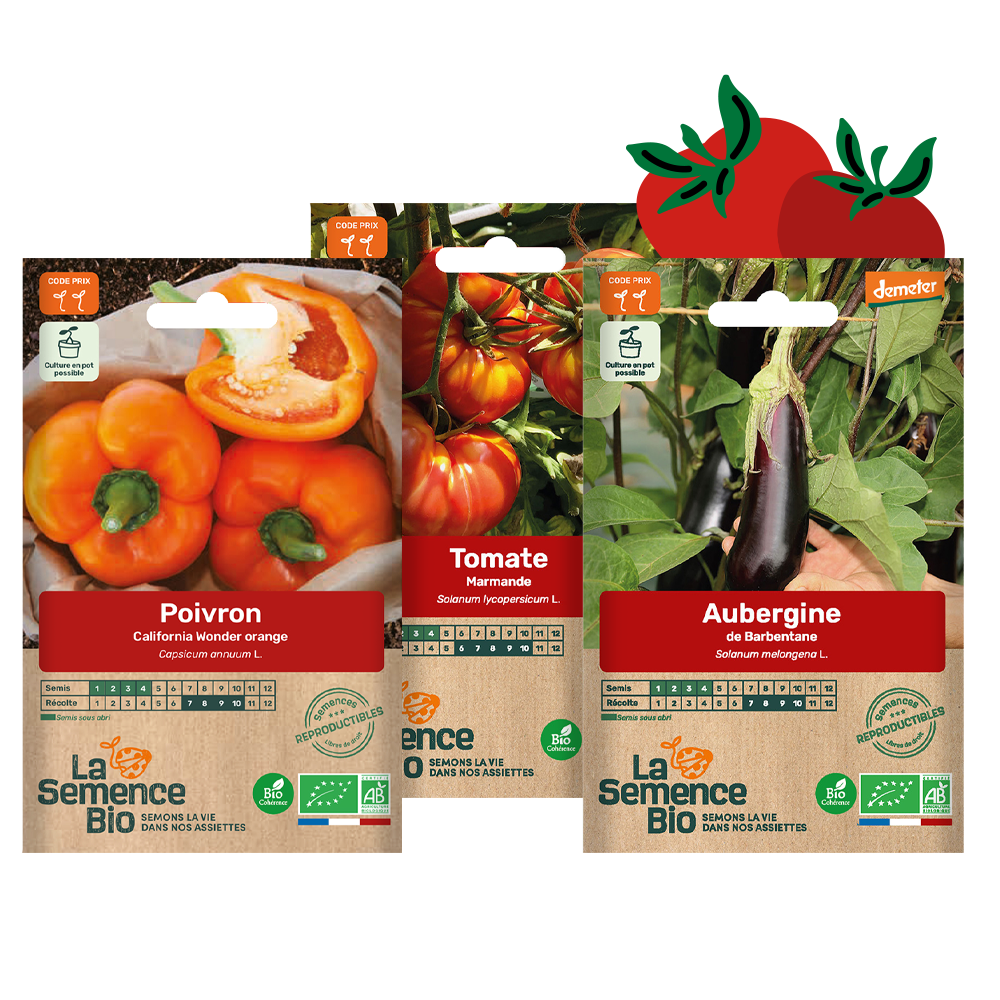 Panier semis bio - légumes d'été x 3