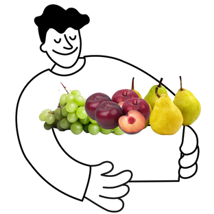 Petit panier de fruits bio - 2 à 3 personnes