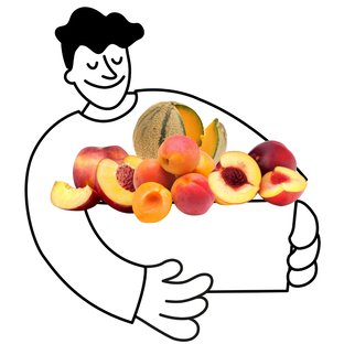 Petit panier de fruits bio - 2 à 3 personnes