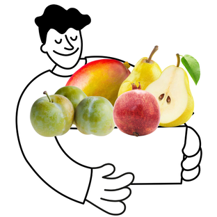 Petit Panier de Fruits Bio - 2 à 3 personnes
