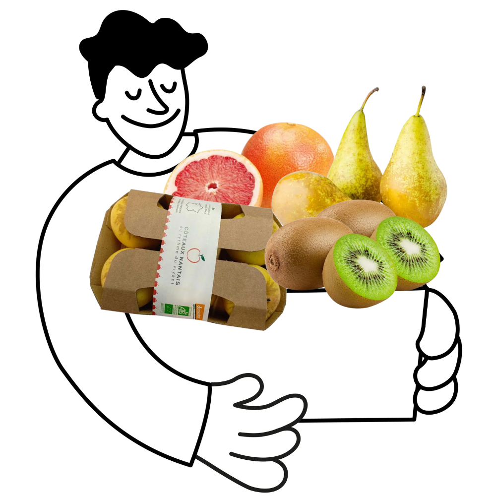 Petit panier de fruits bio - 2 à 3 personnes