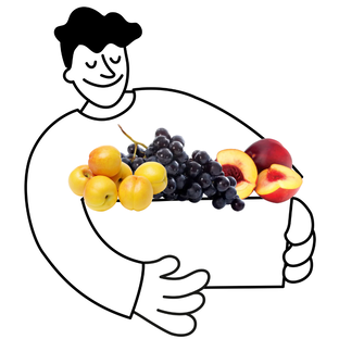 Petit panier de fruits bio - 2 à 3 personnes