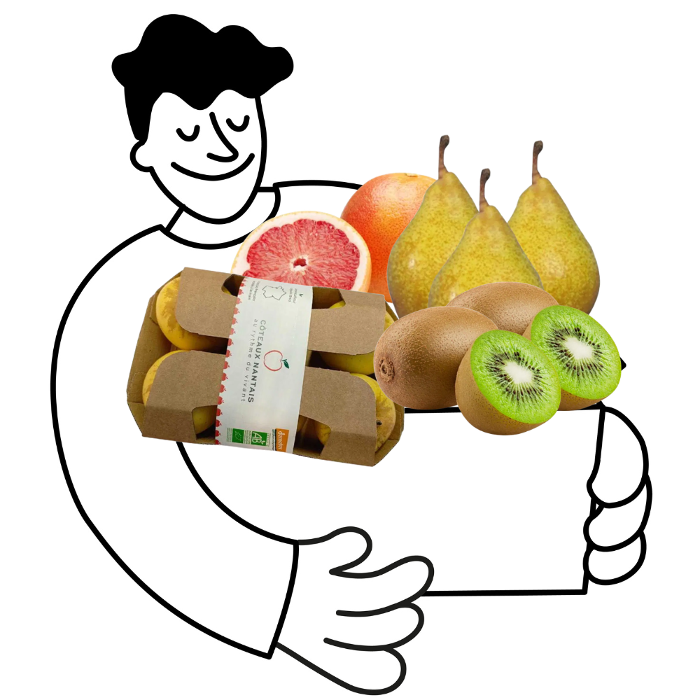 Petit panier de fruits bio - 2 à 3 personnes