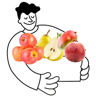 Petit Panier de Fruits Bio - 2 à 3 personnes