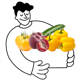 Petit panier de fruits et légumes bio - 1 à 2 personnes