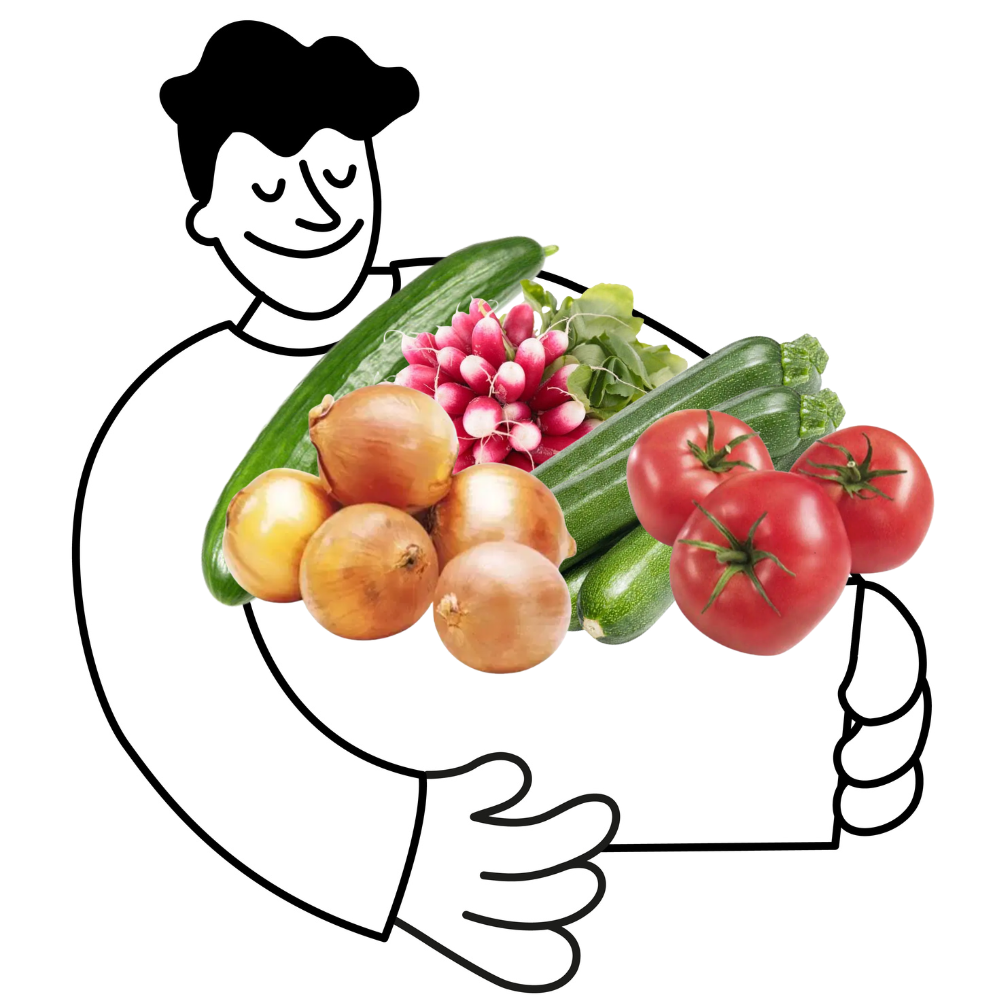Petit panier de légumes bio - 2 à 3 personnes