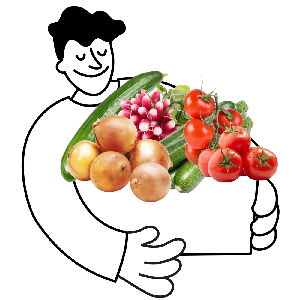 Petit panier de légumes bio - 2 à 3 personnes