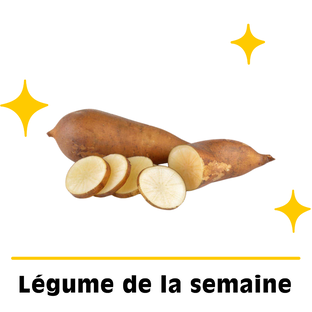 Poires de terre Yacon bio origine France