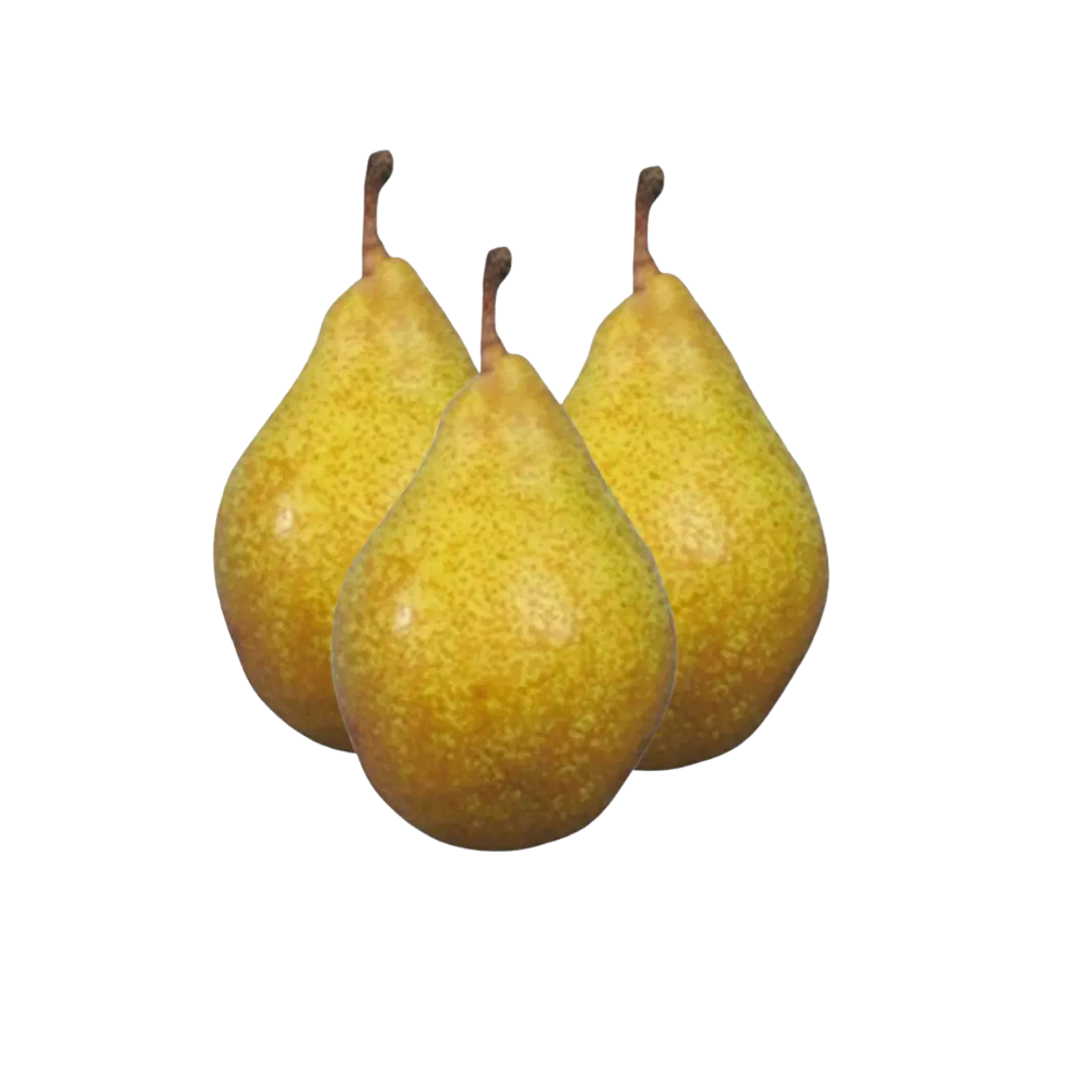 Poires Xenia bio origine France