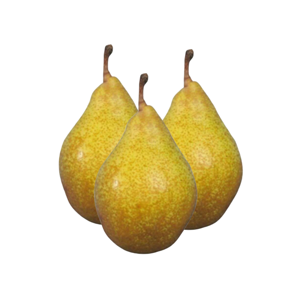 Poires Xenia bio origine France