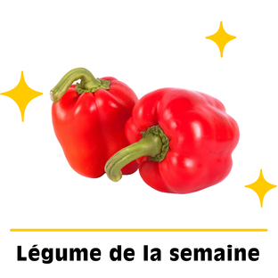 Poivrons Rouges Bio Origine France