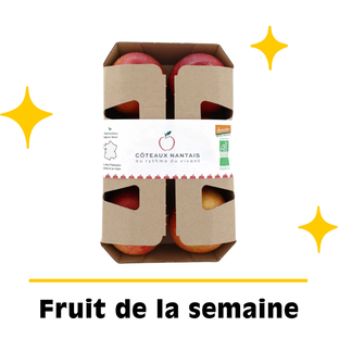 Pommes bicolores bio en barquette origine France x 6