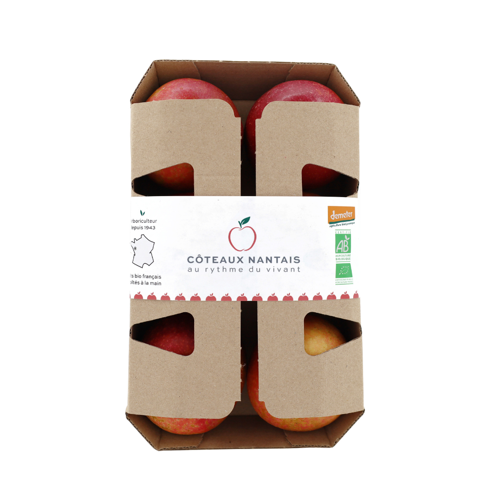 Pommes bicolores bio origine France en barquette x 6