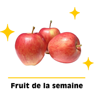 Pommes Gala Bio Origine France