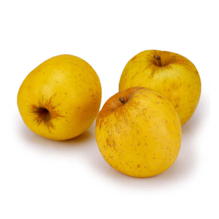 Pommes Opal bio origine France