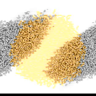 Protéines de pois bio origine France en sachet kraft