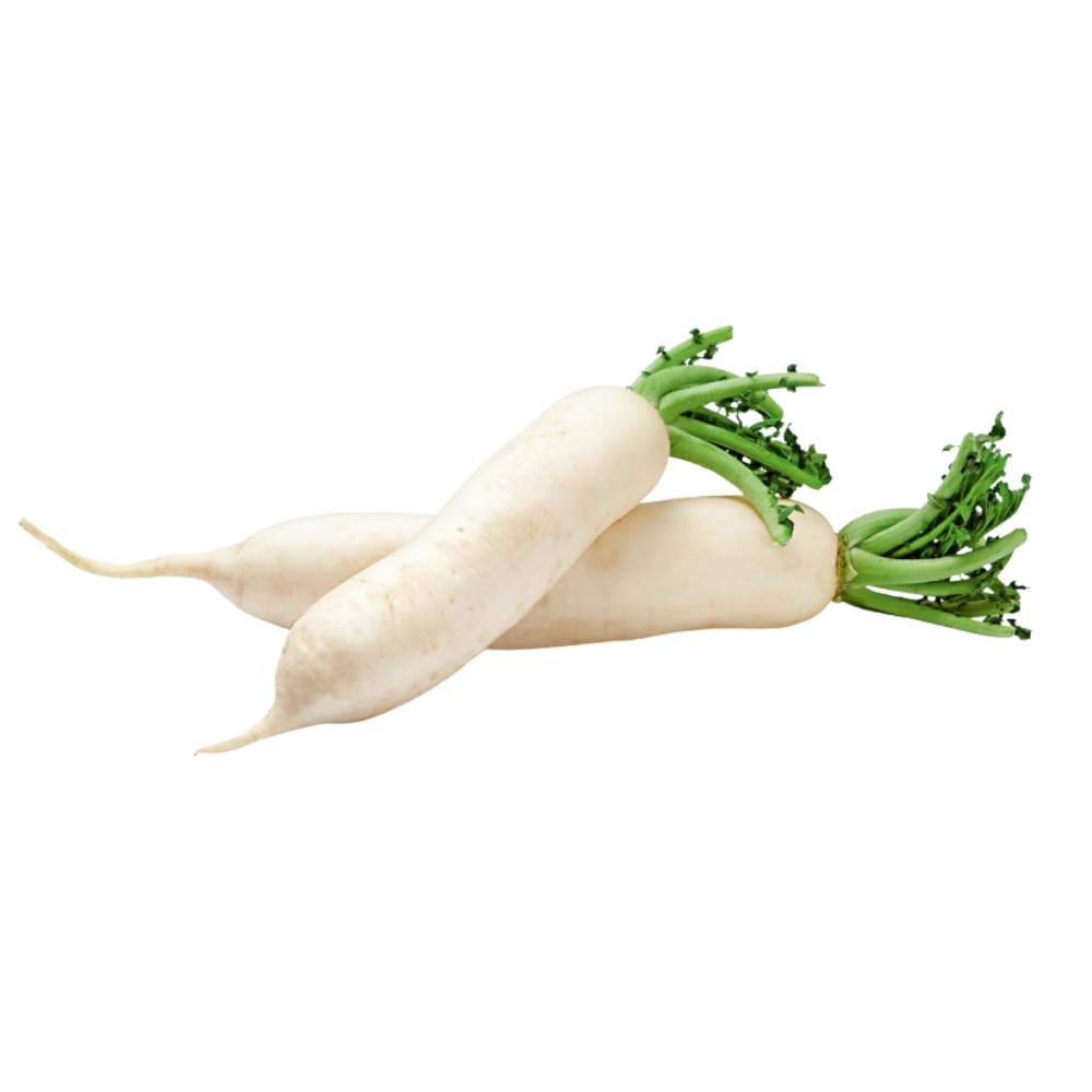 Radis blanc bio origine France