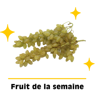 Raisin Blanc Bio Origine France
