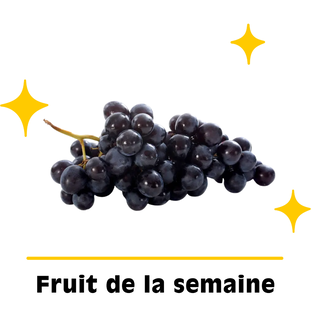 Raisin Noir Bio Origine France