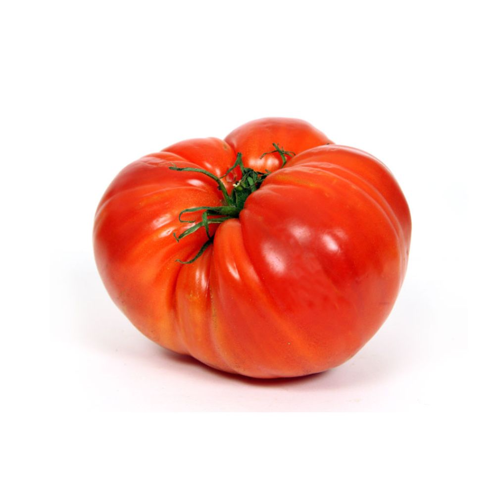 Tomates coeur de boeuf bio origine France