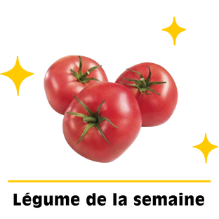 Tomates rondes bio origine France