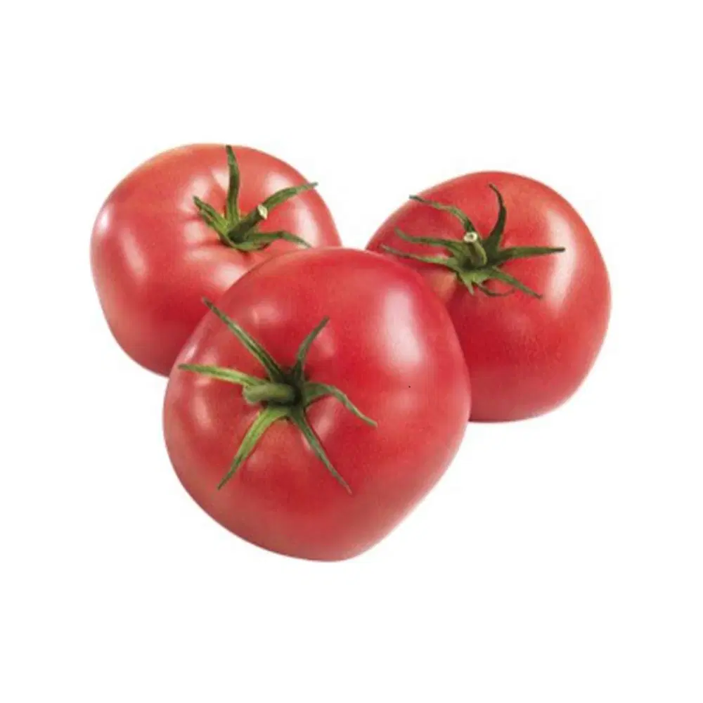 Tomates rondes bio origine France