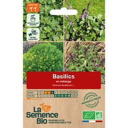 Graines bio basilics en mélange
