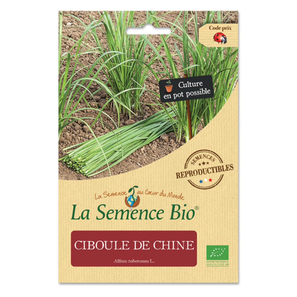 Graines Bio de Ciboule de Chine Bio