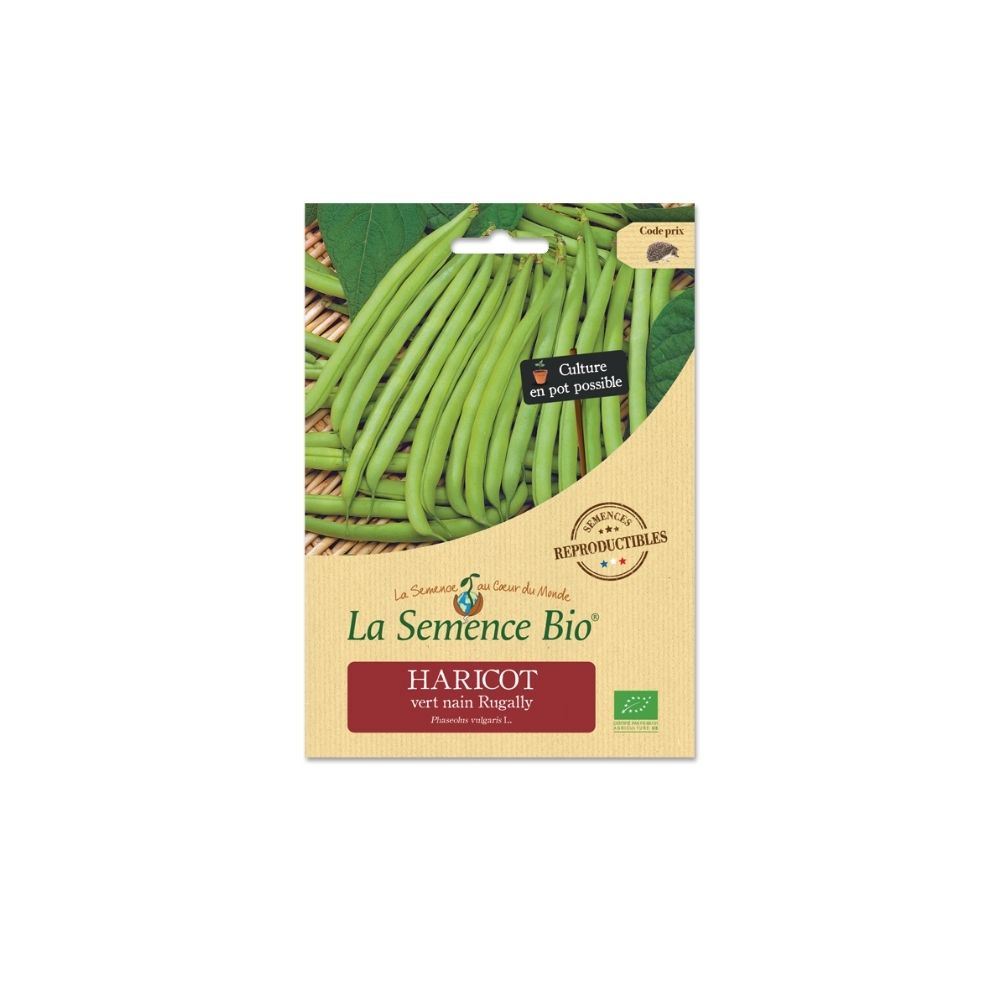 Lot De 50 Graines De Pois Potager Alexandra - Variété Savoureuse - Parfait Légume D'accompagnement Pour Vos Plats - 100% Naturelle - Qualité Gustative - Garantie Germination - 100% Reproductibles