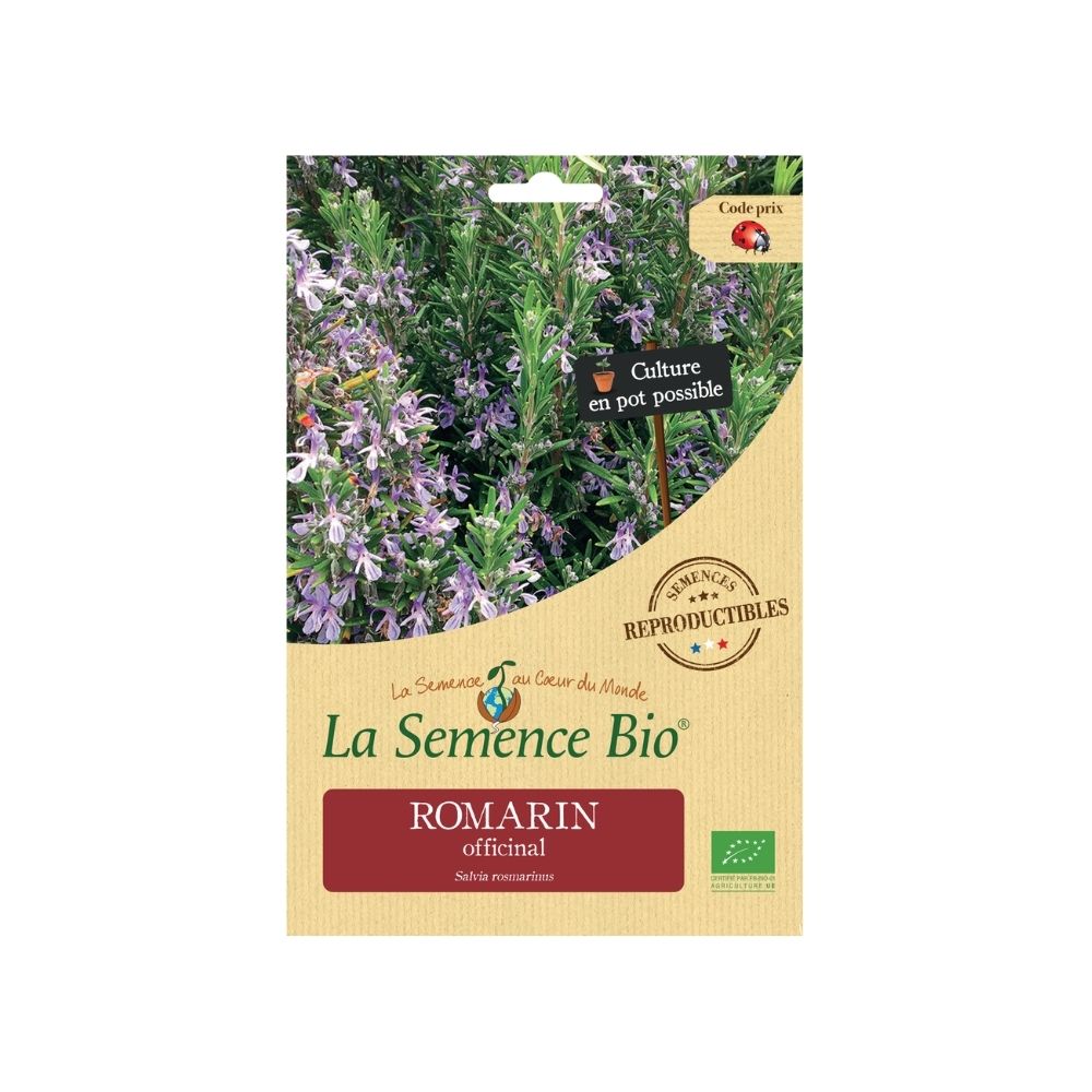 Graines Bio de Romarin Officinal