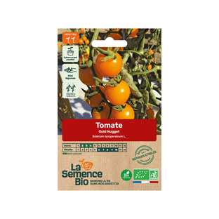 Graines de Tomates Gold Nuggets