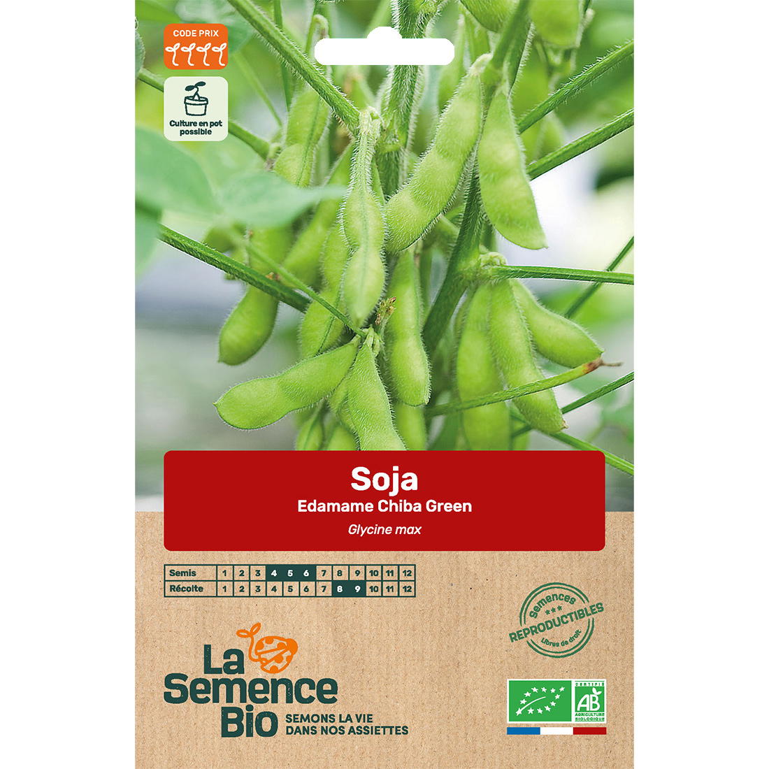 Graines Bio Soja Edamame Chiba Green