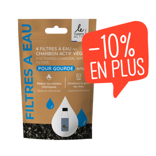 Filtres à eau au charbon végétal pour gourde x 4